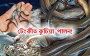 টেংকীত কুচিয়া পালনৰ পদ্ধতি সম্পৰ্কে জানো আহক-