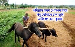 Desi Jugar made by Chattisgargh farmer Baban Kumar