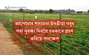 ৪০ হাজাৰ পৰ্যন্ত ধন লাভ কৰিব TARBANDI YOJANAৰ অধীনত