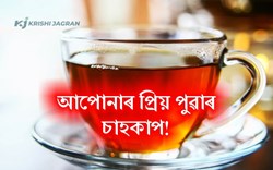 Benefit of Red Tea