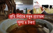 প্ৰতি লিটাৰ গো-মূত্ৰ ৪ টকা দৰত কিনিব চৰকাৰে!
