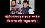 গাহৰি পালকৰ ভৱিষ্যত সন্দৰ্ভত কি ক’লে মন্ত্ৰী  অতুল বৰাই !