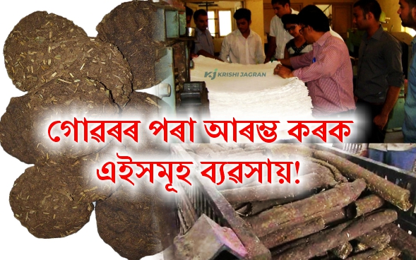 Profitable Dung paper and wood Business!