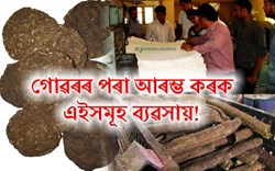 Cow Dung! Profitable Dung paper and wood Business