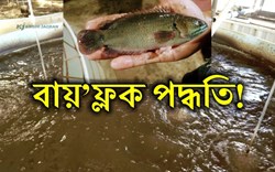 Bio flock Fish Farming!