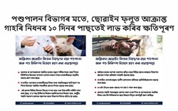 Report by the government for Pig famers