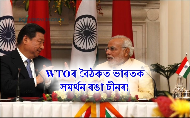 China Backs India's Wheat Export Ban at WTO