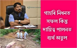 Atul succeeds in killing pigs but fails to fulfill responsibility