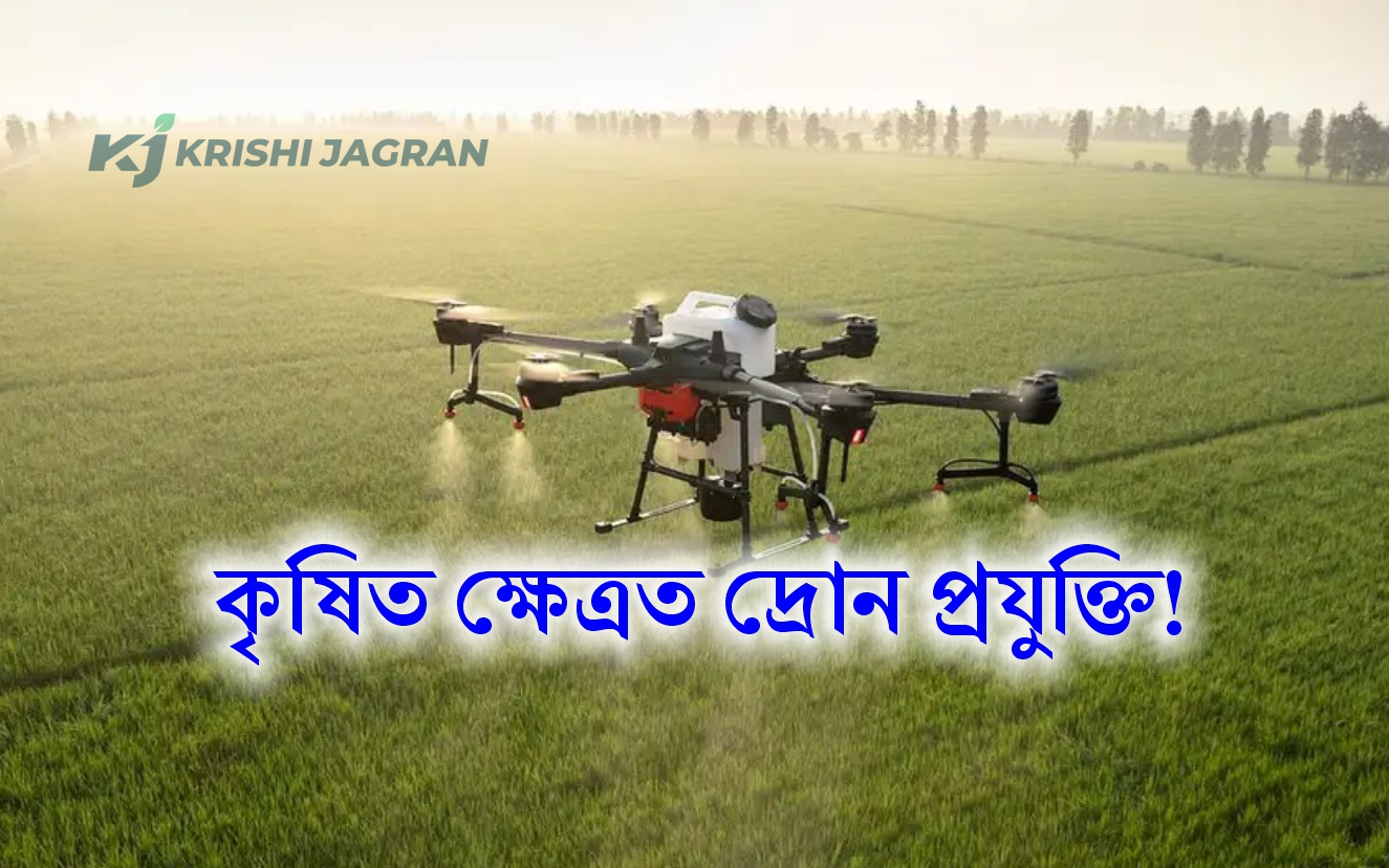 Drone Technology in Agriculture Sector