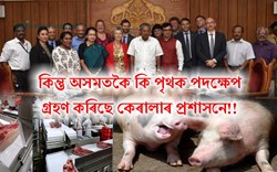 SWINE FLU : ASSAM VS KERALA