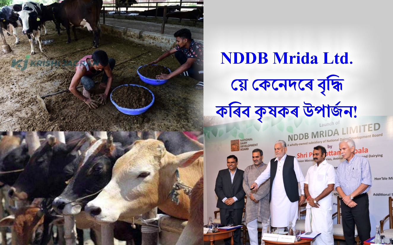 NDDB Mrida Ltd. য়ে  বৃদ্ধি কৰিব কৃষকৰ উপাৰ্জন
