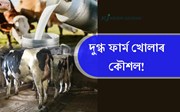 কম খৰচতে সৰু আকাৰৰ দুগ্ধ ফাৰ্ম খোলাৰ কৌশল!