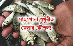Know About Fish Farming Guide