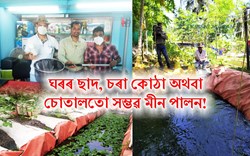 AGVENTURE: Urban Fish Farming at Guwahati