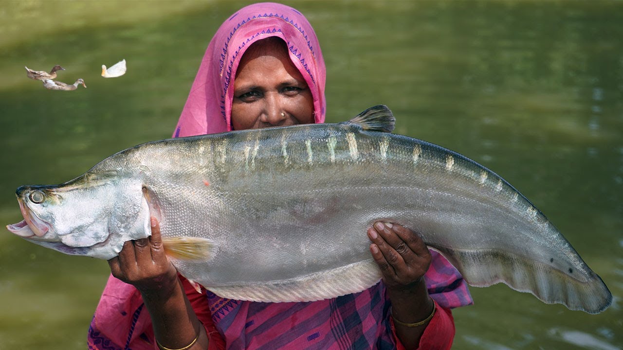 Sital Fish