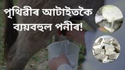 গাধৰ গাখীৰৰ পৰা তৈয়াৰ কৰা হয় পৃথিৱীৰ আটাইতকৈ ব্যয়বহুল পনীৰ!