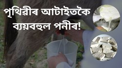 World Most Expensive Paneer from Serbia's Balkan Donkey