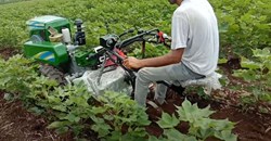 Mini Power Tiller and its Price and Company Details