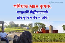 MBA Farmer