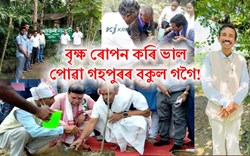 Amar Bonani: Gokul Gogoi, The Tree man of Gohpur