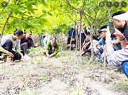 নাগালেণ্ডক ‘ভাৰতৰ ফল-মূলৰ প্ৰাণকেন্দ্ৰ’ কৰাৰ লক্ষ্য ‘ট্ৰীজ ফৰ ৱেলথ’ৰ