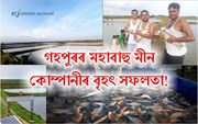 মহাবাহু মীন কোম্পানীৰ বৃহৎ সফলতা, মীন পালনেৰে বছৰি লাখ টকা উপাৰ্জন!