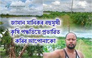 পুখুৰীত মাছপোহাৰ লগতে  জামান মানিকে আৰু কি কৰিছে!