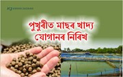 পুখুৰীত মাছৰ খাদ্য যোগানৰ নিৰিখ