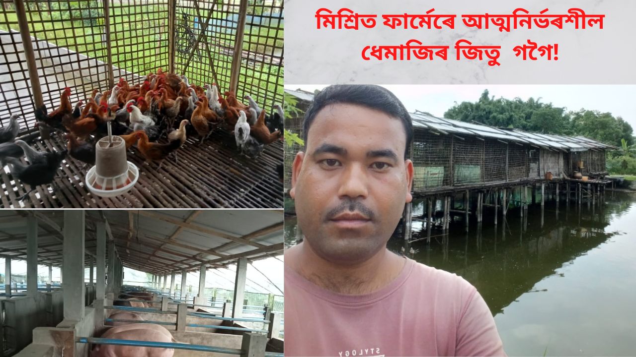 Dhemaji Farmer Jitu Gogoi Success Story