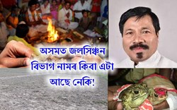 marriage of frogs for rain