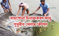 Know About Fish Farming (1)