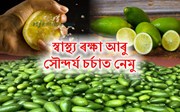 Lemon: স্বাস্থ্য ৰক্ষা আৰু সৌন্দৰ্য চর্চাত নেমু