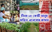 কম মূলধনেৰে কৰিব পাৰিব এইবোৰ কাম। প্ৰয়োজন কেৱল অকণমান পৃথক চিন্তাৰ