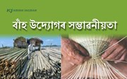 অসমৰ অৰ্থনীতিত বাঁহ উদ্যোগৰ ব্যৱহাৰ ও সম্ভাৱনীয়তা