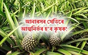 Pineapple Farming: আনাৰসৰ খেতিৰে আত্মনিৰ্ভৰশীল হ'ব পাৰে কৃষকসকল, পঢ়ক সম্পূৰ্ণ তথ্য!