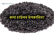 Black Rice: প্ৰচুৰ ফাইবাৰ আৰু এন্টিঅক্সিডেণ্টেৰে সমৃদ্ধ ক’লা চাউলৰ স্বাস্হ্য উপকাৰিতা