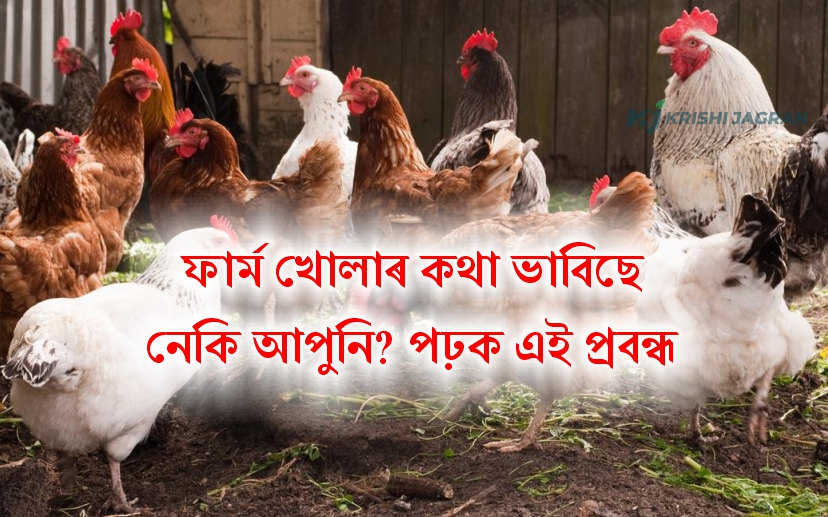 Poultry farming Guide for Farmers