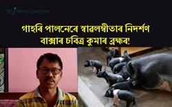 Sabitra Kumar Brahma: A successful Pig Farmers Baksa, Assam