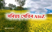 আহি আছে সৰিয়হ খেতিৰ সময়। জানক.....