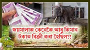 কেৱল জয়মালাই নহয় ৩৩টাতকৈ অধিক হাতী বিক্ৰী ছিণ্ডিকেট চক্ৰৰ, প্ৰতিটো হাতী বিক্ৰী হয় ২৫ লাখ টকাত