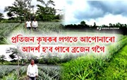 লখিমপুৰৰ জয়হিঙত ব্ৰজেন গগৈয়ে ২৩ বিঘা মাটিত কৰিছে অনাৰসৰ খেতি