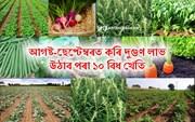 বৰষুণৰ পৰিমাণ কমাৰ লগে লগে কৰিব পৰা কিছুমান খেতি