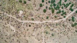 Lumpy Virus Big Update!