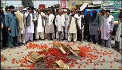 PAKISTAN FARMERS TOMATO PROTEST