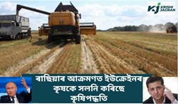 How the Russian invasion is changing Ukrainian farmers’ crops