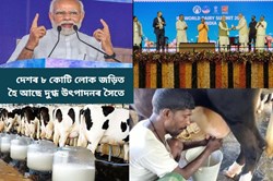 Coops, women, farmers scripted dairy success story: PM