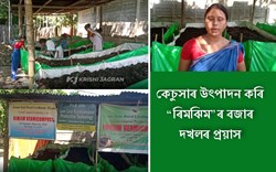 Vermicompost production by 6 women from Baksa