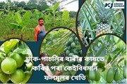 শাক-পাচলিৰ বাৰীৰ কাষতে কৰিব পৰা কেইবিধমান ফলমূলৰ খেতি
