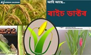 কৃষকসকলৰ বাবে ভাল খবৰ.... আহি আছে ৰাইচ ডাক্টৰ এপছ্