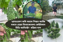 Bitter Gourd Cultivation